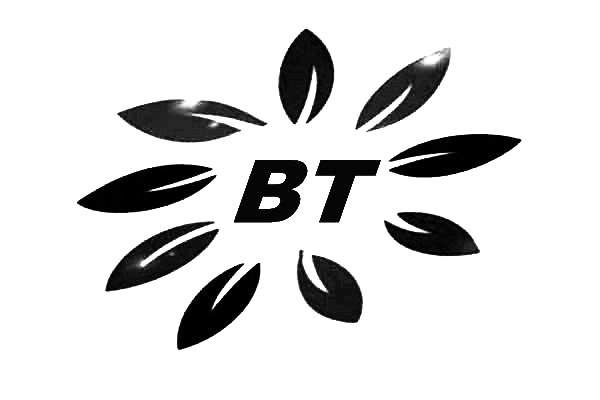 上海碧涂反滲透阻垢劑品牌BT0110注冊商標自主知識產權